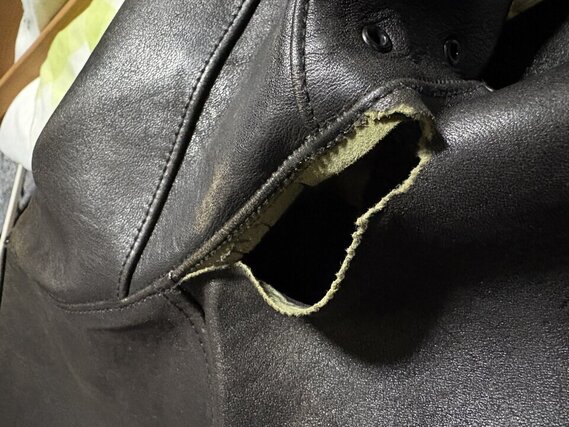 
					20251124205734IMG_3762 